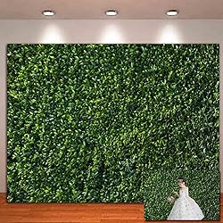 Nature Spring 3D Green Leaves Theme Photo