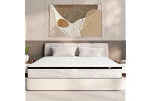 MOLBIUS Queen Mattress 12 Inch | Hybrid Mattresses Queen Size in a Box | Medium Firm Memory Foam and Individual Pocket Springs | Fiberglass Free Bed Mattres | Breathable | CertiPUR-US