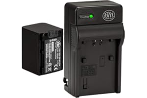 BM Premium NP-FV70A Battery and Charger for Sony FDR-AX30 FDR-AX33 FDR-AX53 FDR-AX700 FDR-AX100 FDR-AXP35, HXR-MC50, HXR-MC88, HX-RNX80, PXW-Z90V, NEX-VG10, NEX-VG20, NEX-VG30, NEX-VG900 Cacmorder