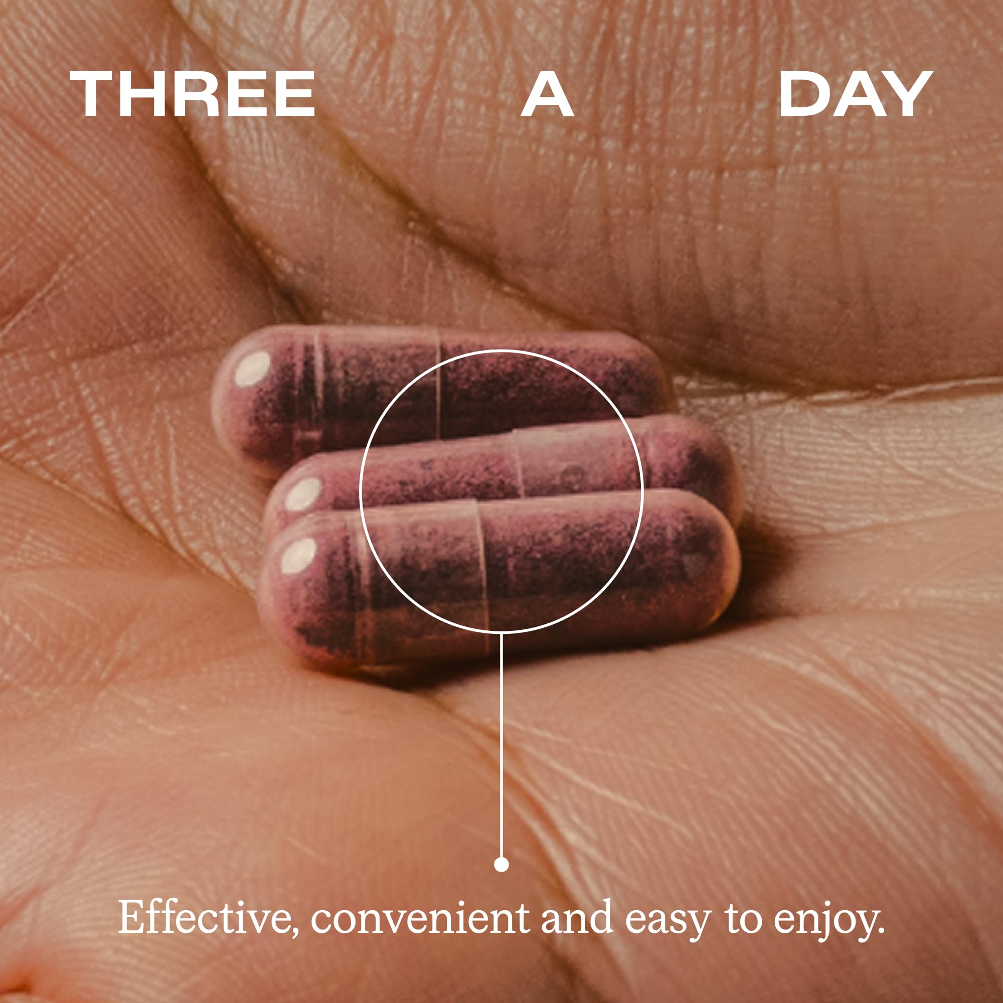 Humann SuperBeets Beet Root Capsules Quick Release 1000mg, Helps Support Nitric Oxide Production, Blood Pressure, Heart Health, Contains Non-GMO Beetroot Powder, Studied Antioxidants 90 Count