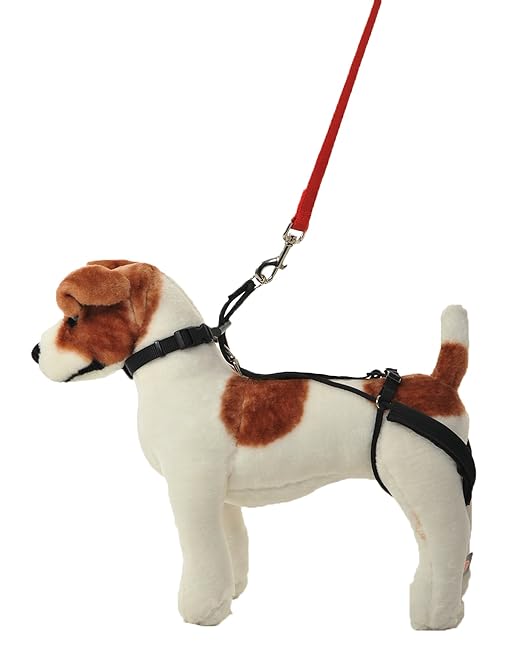 Harnesses Dogs Can