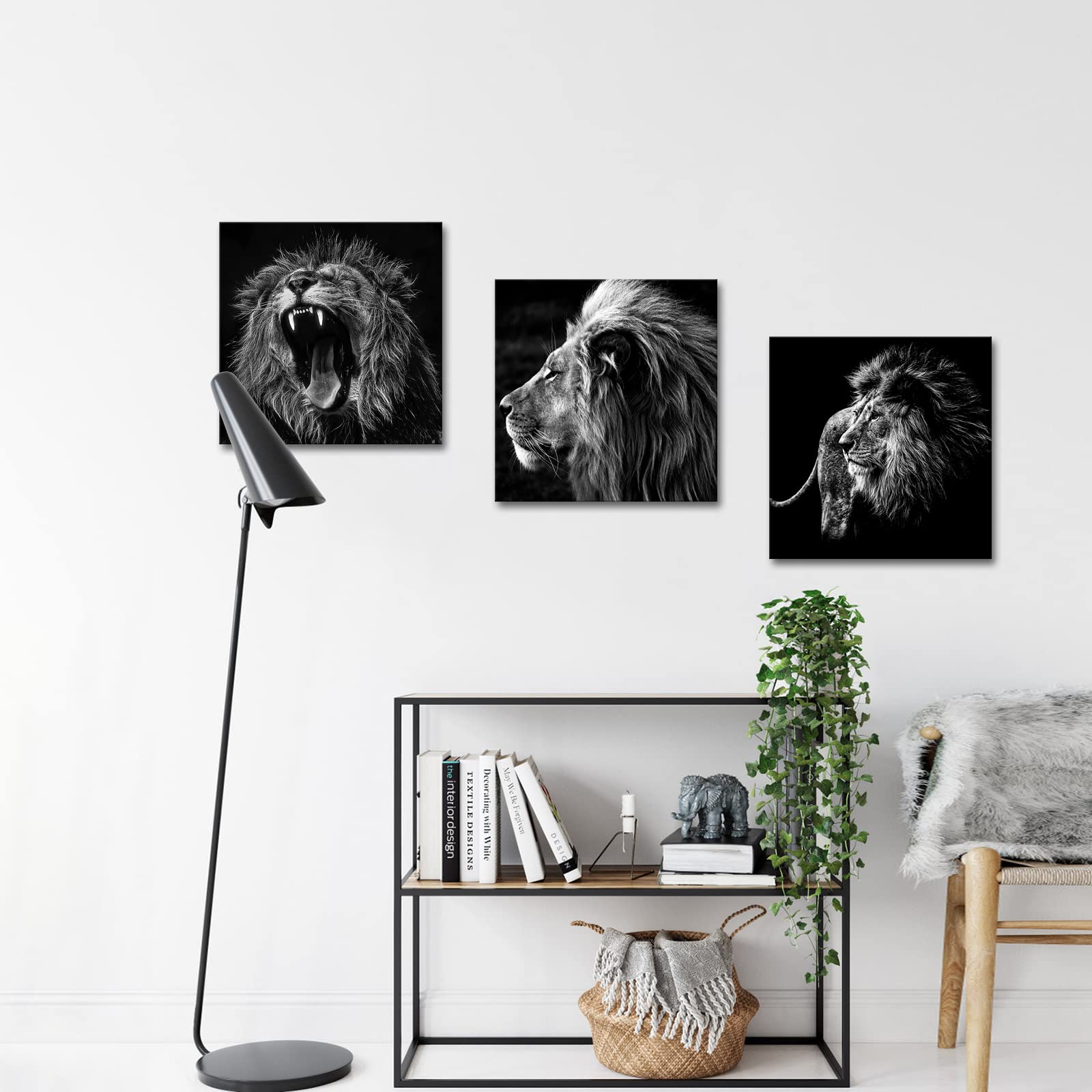 https://images-na.ssl-images-amazon.com/images/I/71j8quz9OFL.jpg