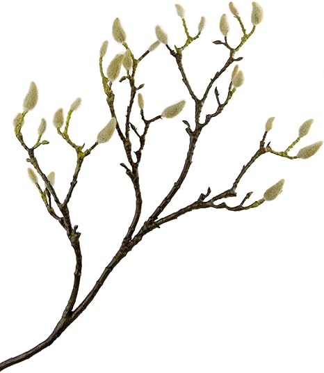 Amazon Rinlong 造花 玉蘭の枝 ト アートフラワー 手作りブーケ フラワーアレンジ 枯れない花 インテリア飾り 本物そっくり 母の日 ギフト人工観葉植物 写真小道具 1枝 造花 オンライン通販