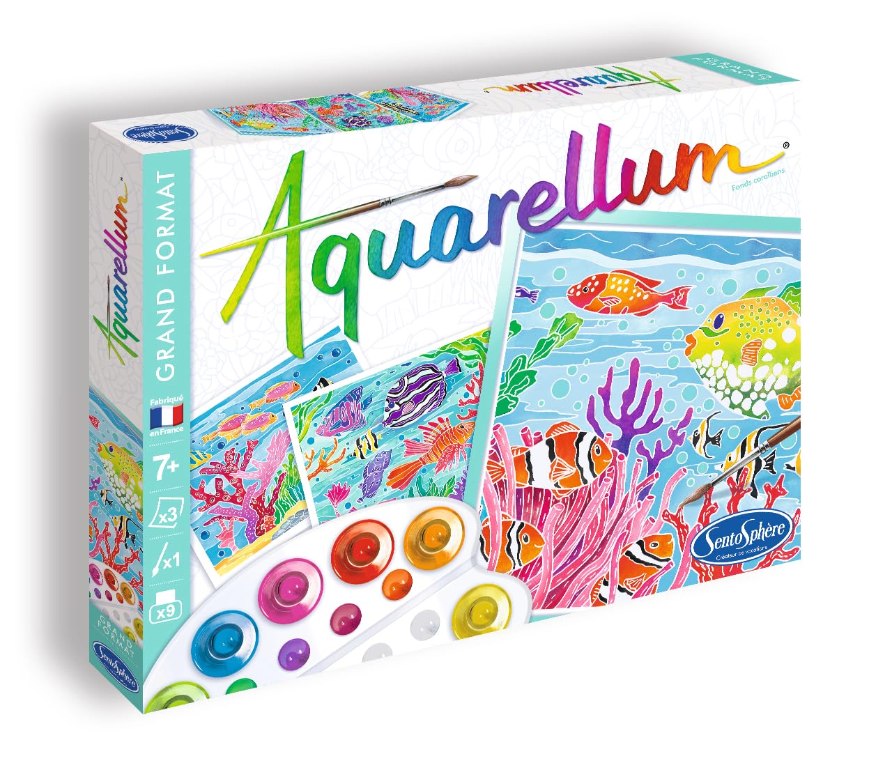 Sentosphère Aquarellum Coral Reef