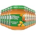 Gerber 1st Foods Organic for Baby Baby Food, Butternut Squash, 4 oz Jar (10 Pack)