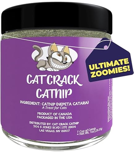 Amazon.com: Zoom Around THE Room Organic Catnip : Pet Supplies