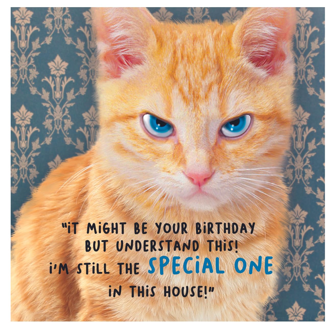 Virtual Safari, Birthday Card for Him, "It Might Be Your Birthday But Understand This!" Male Birthday Card, Funny Birthday Card for Him