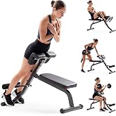 Sunny Health &amp; Fitness Multi-Function Roman Chair | Adjustable Height, Folds Flat for Storage, Built in Dip Station, Targets Back, Abs &amp; Core, Crunches &amp; Back Extensions