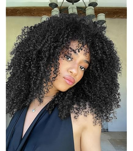 Amazon.com : Royal Zury Synthetic Hair Crochet Braids V8.9.10