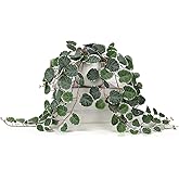 Briful Fake Plants Indoor 16'' Artificial String of Hearts Plants with Ceramic Pot Faux Draping Vine Plants for Home Bathroom Table Shelf Office Hotel Decor