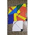 TreegoArt Paper Kite Patang Medium Size Multi Colour Indian Fighter Cheel Kite (Pack of 40)