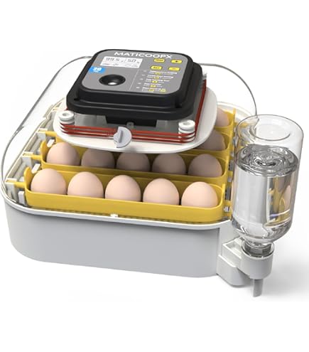 Amazon.com: 18-33 Egg Incubator for Hatching Eggs, Automatic Egg