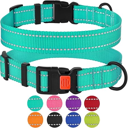 nylon puppy collar