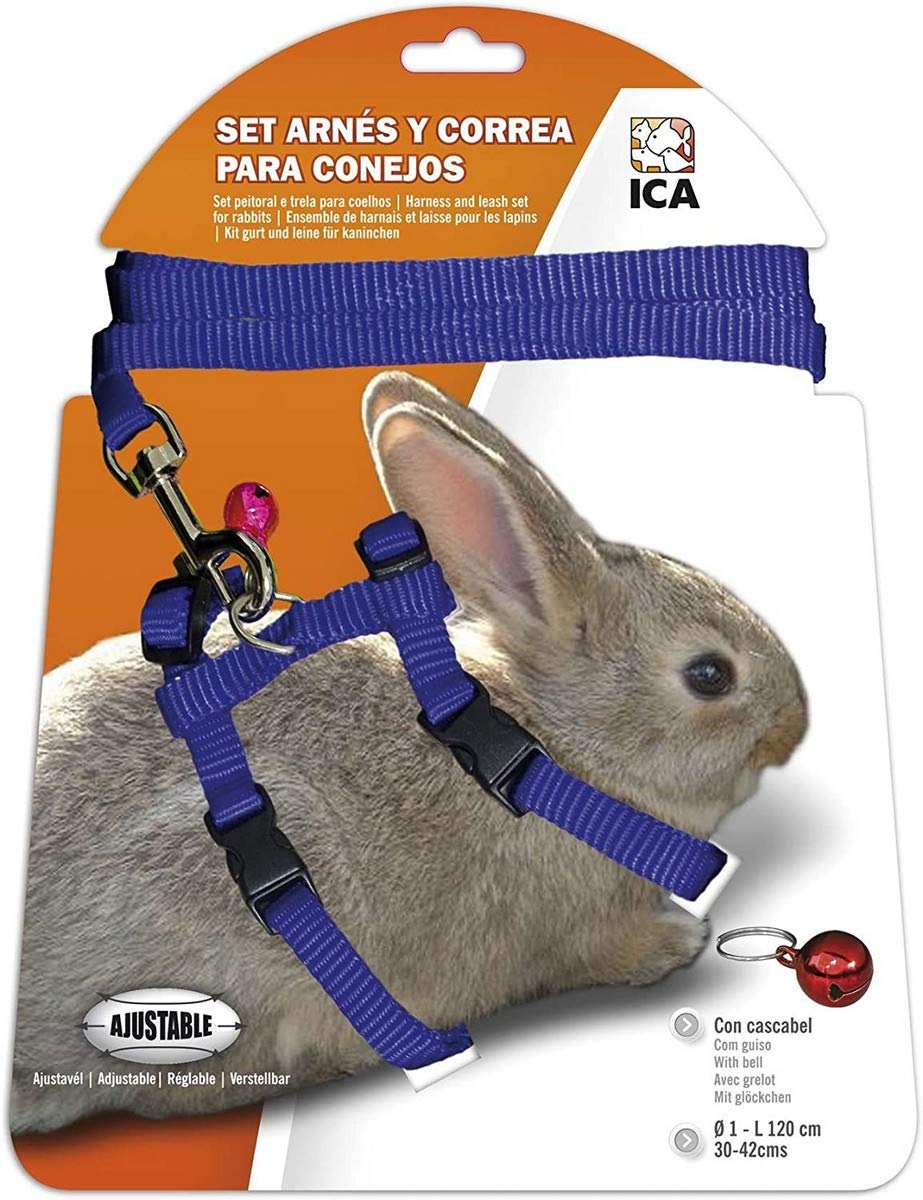 ICA DA1027 Harness and Strap Set for Rabbits, Blue