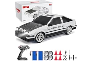 DESDONI Remote Control Car RC Drift Car 1:16 Scale 4WD RC Car with LED Lights 2.4GHz 30km/h Hard Shell RTR High Speed Drift Racing Sport Toy Car for Adults Boys Girls Kids Gift 2Pcs Rechargeable Batteries
