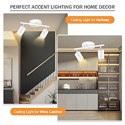 Track Lighting Ceiling, White 2 Lights Track