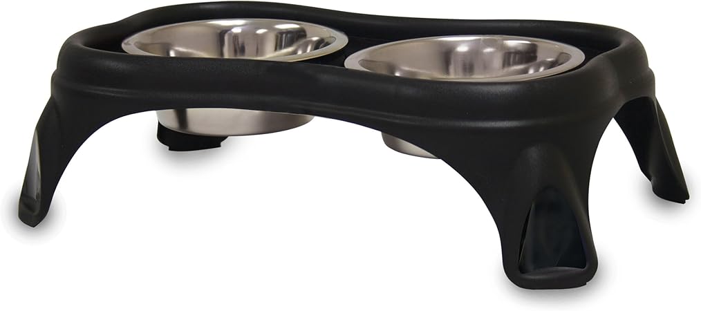 sealyham terrier for sale near me