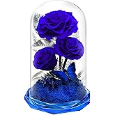 Tyvouflo Preserved Rose in Glass Dome with Angel - Forever Flowers Christmas Gifts for Women, Mom, Wife - Birthday, Anniversary, Valentine's - Fresh Flowers for Delivery Prime (BLUE)