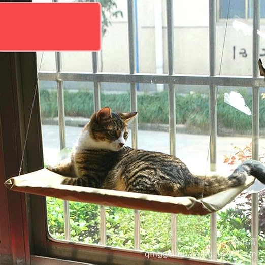 cat window hammock kmart