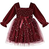 YOUNGER TREE Toddler Tutu Dress Girls Long Sleeve Tulle Holiday Birthday Party Princess Dresses Fall Winter Clothes