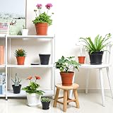 T4U 17cm Plastic Plant Pots 6-Pack with Saucers Black view 8
