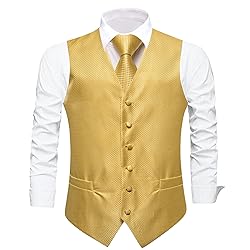 Dubulle Suit Vest Tie Set Mens Gold Plaids Paisley