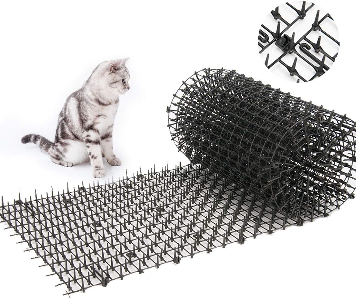 Best Garden Fence For Cats