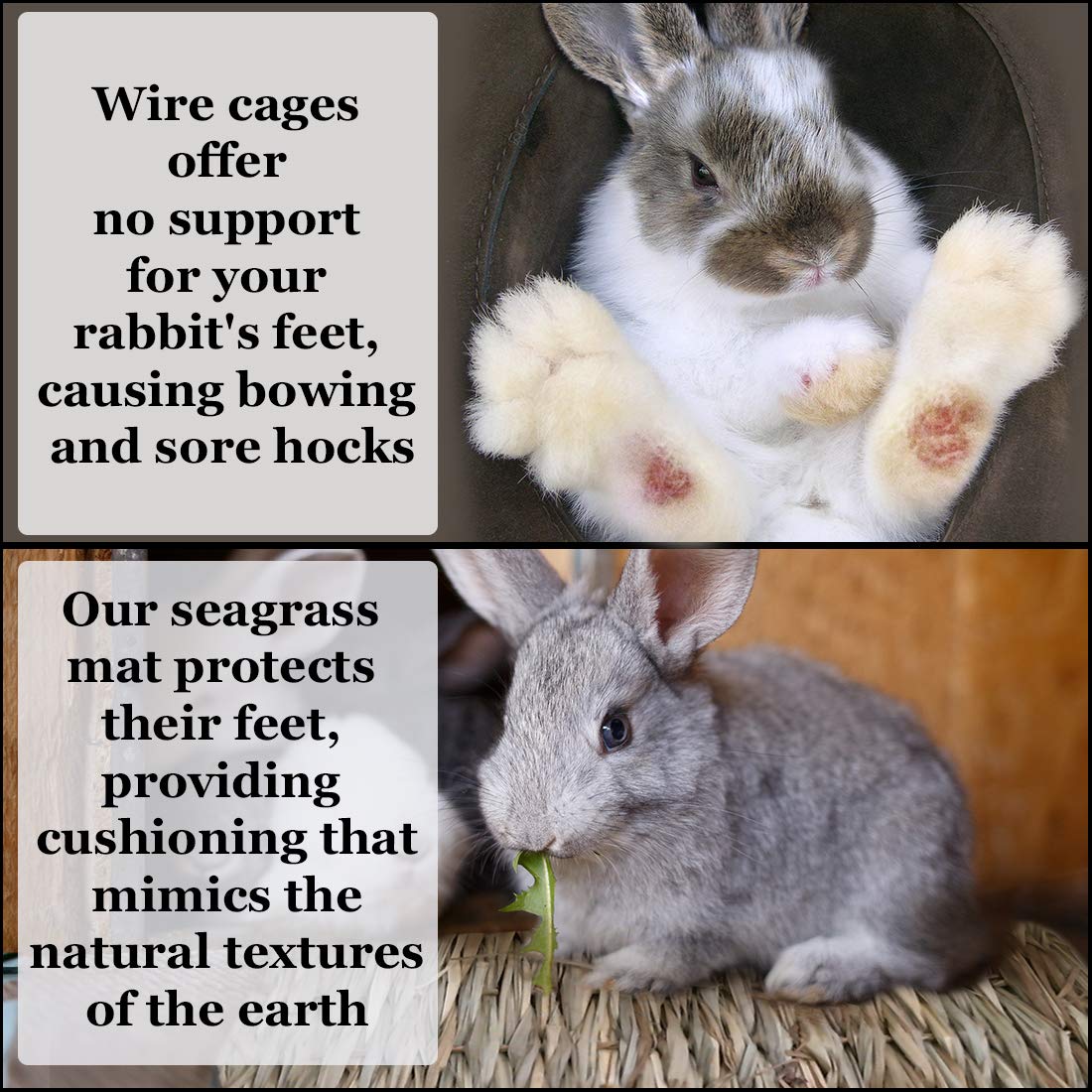 Seagrass Rabbit Mat Protect Paws From Wire Cage Treat Bunny's Sore