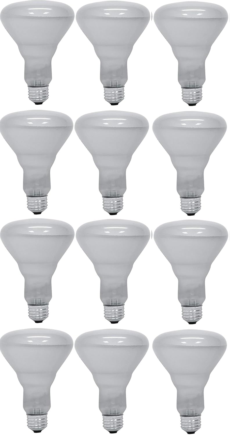 Best ge 65w floodlight indoor