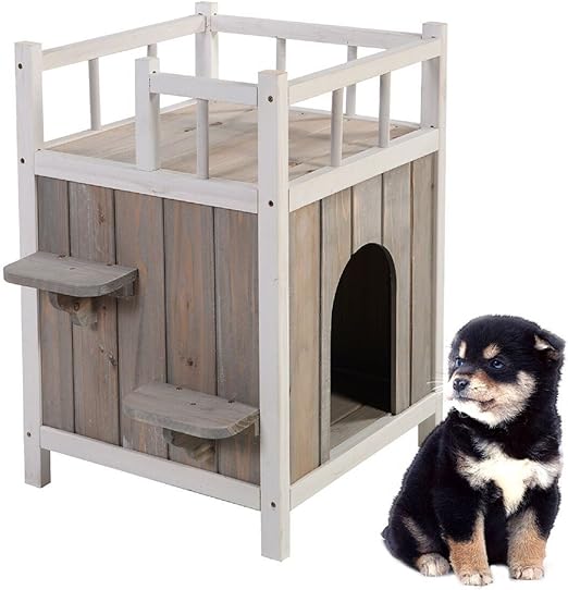 amazon venta de perros