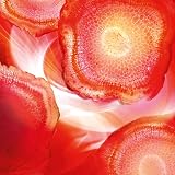 L'Oreal Paris Revitalift Energising Anti-Wrinkle Day Cream Red Ginseng view 5