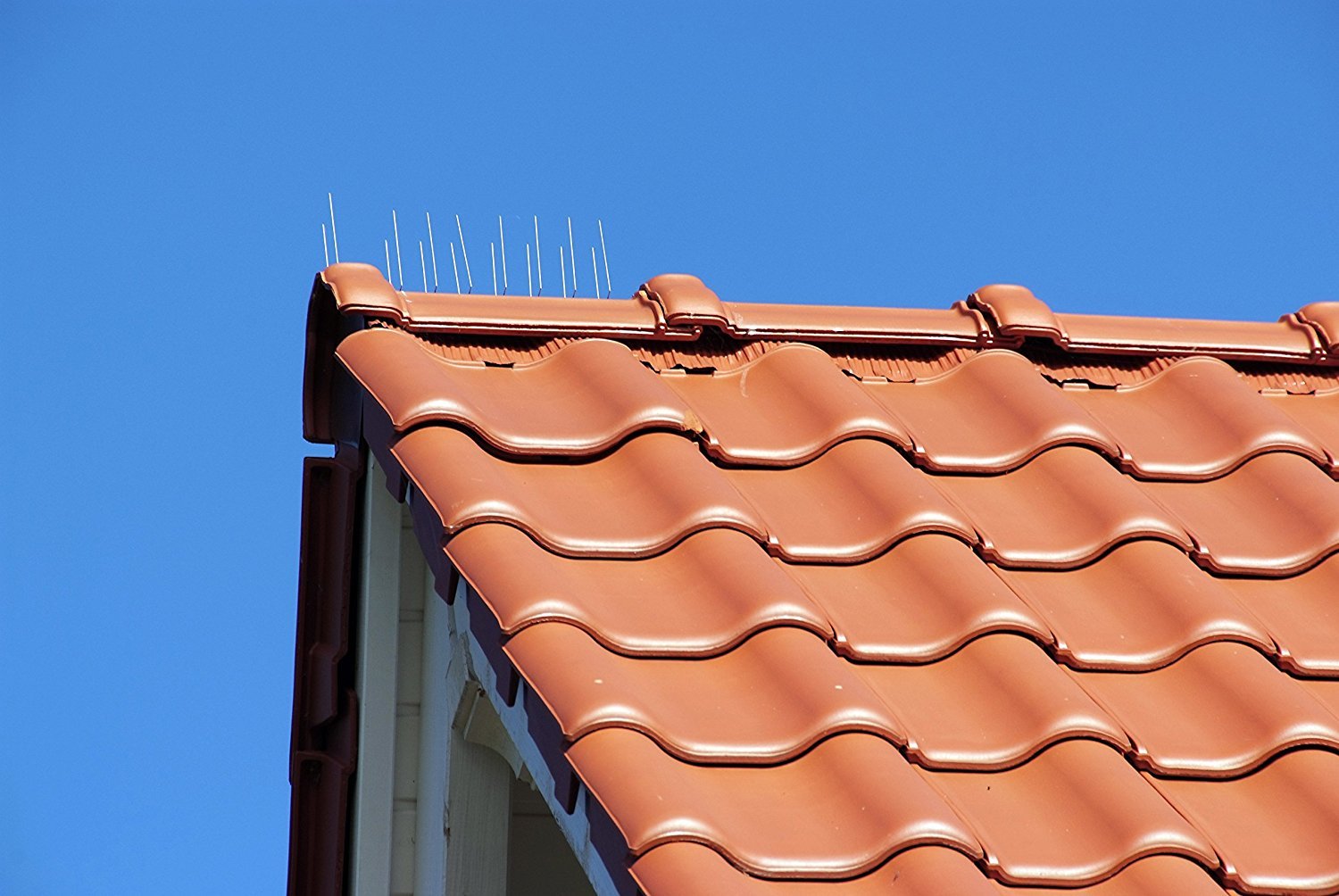 Lifetime Garden Vogelabwehrspitzen Taubenabwehr Edelstahl