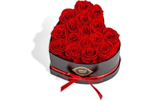 Otuo 16 Preserved Roses in Heart-Shaped Box, Flowers for Delivery Prime Last up 2 Years, Real Forever Flowers for Wife, Girlfriend, Mother, Eternal Roses for Anniversary - Red