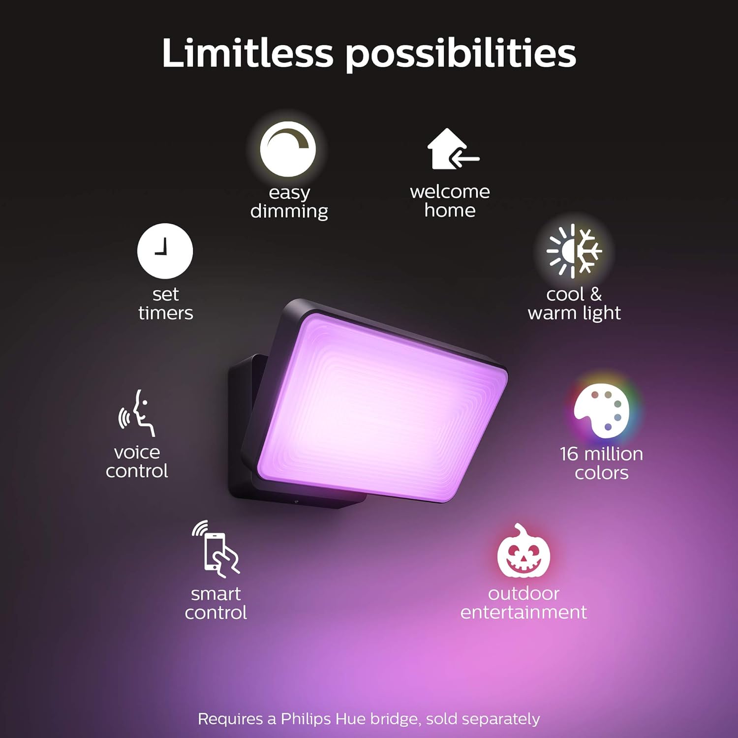 Philips Hue Discover Outdoor White & Color Ambiance Smart Floodlight (Hue Hub Required, Smart Light Works with Alexa, Apple Homekit and Google Assistant): Home Improvement