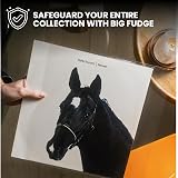 BIG FUDGE 50 Outer Clear Vinyl Record Sleeves 12 inch 3 mil Polypropylene view 2