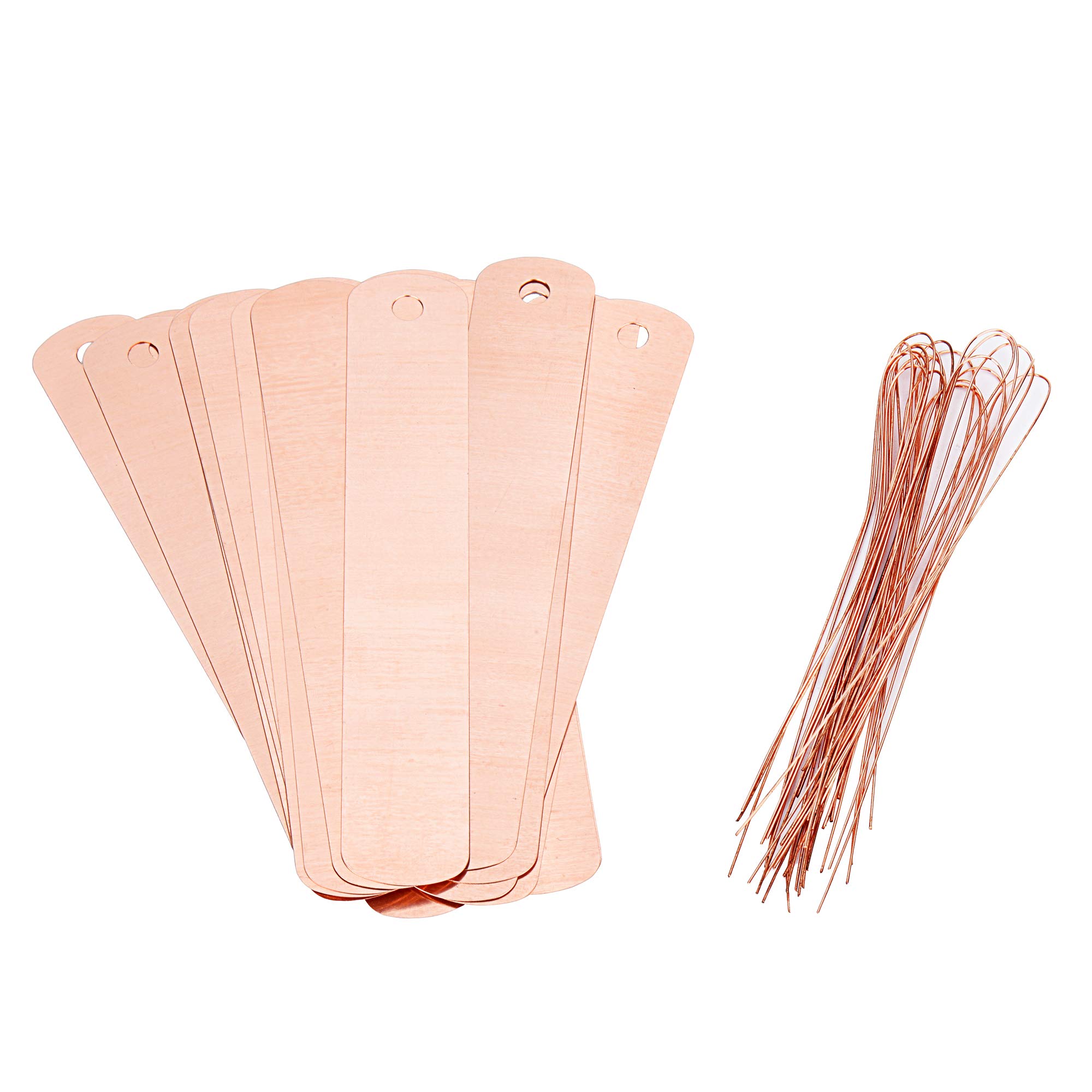 Otzoan 20 Packs Garden Tags Blank Copper Plant Labels Markers Hanging Metal Tag with Ties for Herbs Plants Flower Greenhouse (120 * 20mm/4.7 * 0.78inch)