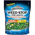 Spectracide Weed Killer, 10.8 lb, Clear