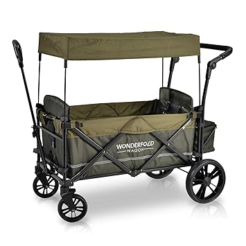 push pull wagon with canopy