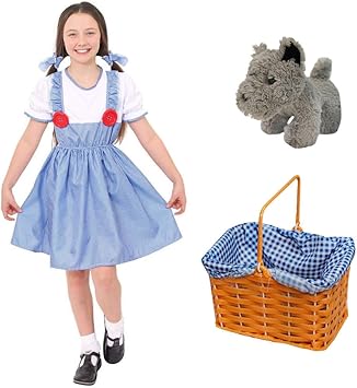 dorothy fancy dress child