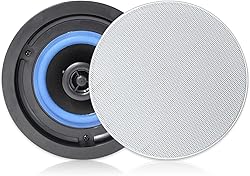 Herdio 4” HCS418 160 Watts 2 Way Flush Mount in