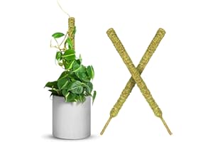 DUSPRO Forest Moss Pole, Small Moss Poles for Climbing Plants Monstera, Non-Bendable Shagnum Moss Stick for Monstera Plant Support Perfect for Small Mini Plant Growth 2 Pcs 17"