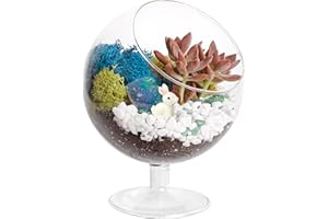 Creations by Nathalie - DIY Glass Plant Terrarium Kit for Adults, Metal Stand, Reindeer Moss, Crystals, Rocks, Tools & Figurine – Complete Starter Set