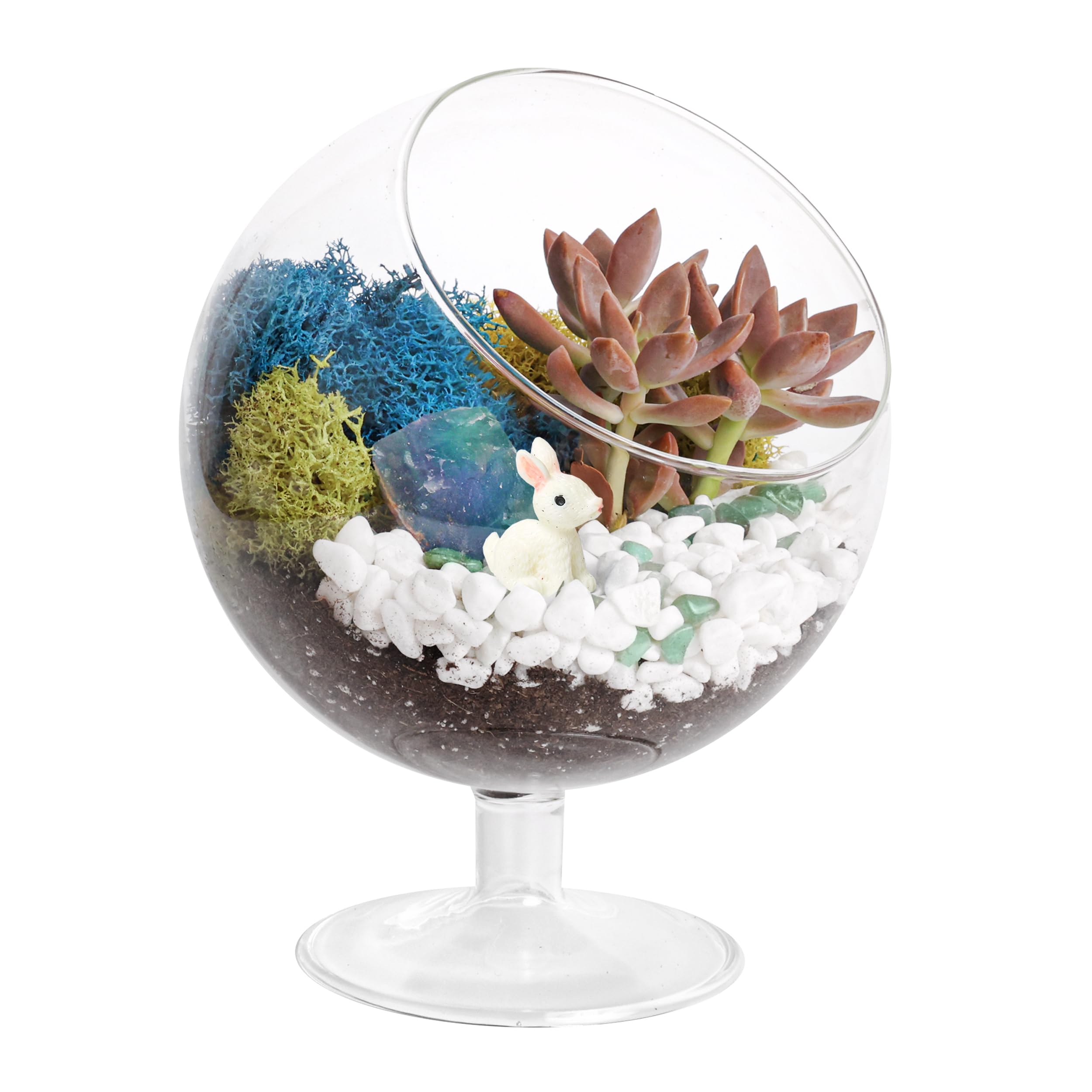 Photo 1 of Creations by Nathalie - DIY Glass Plant Terrarium Kit for Adults, Metal Stand, Reindeer Moss, Crystals, Rocks, Tools & Figurine – Complete Starter Set