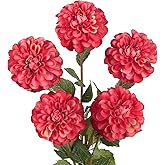 IPOPU 5 Pcs Pink Dahlia Artificial Flowers 27” Long Stem Realistic Silk Chrysanthemum Flower for Tall Vase Kitchen Table Centerpiece Wedding and Engagement Party DIY