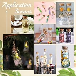 CRASPIRE 24Pcs Small Glass Bottles with Cork