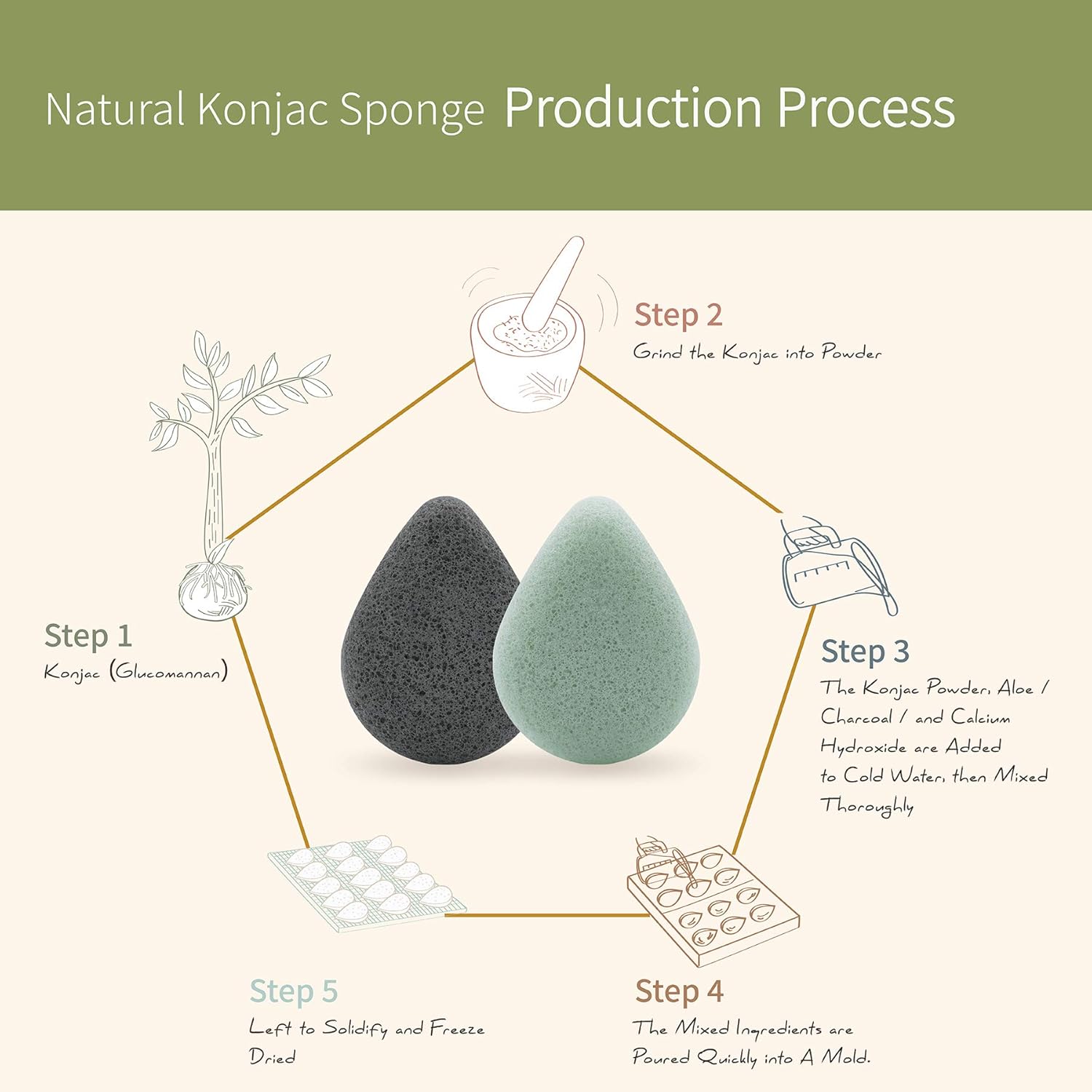 Natural Konjac Facial Sponges – Teardrop Shape - for Gentle Face Cleansing and Exfoliation - with Activated Charcoal and Aloe Vera, 4pc Set: Health & Personal Care