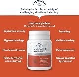 Dorwest Herbs Scullcap & Valerian Calming Tablets for Dogs & Cats 200 view 6