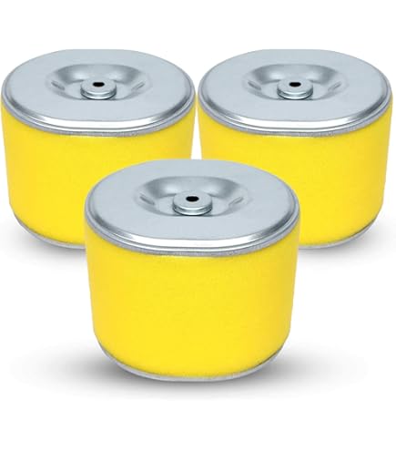 Amazon.com: 2 Pack Genuine Honda 17210-Z1C-781 Round Cyclone