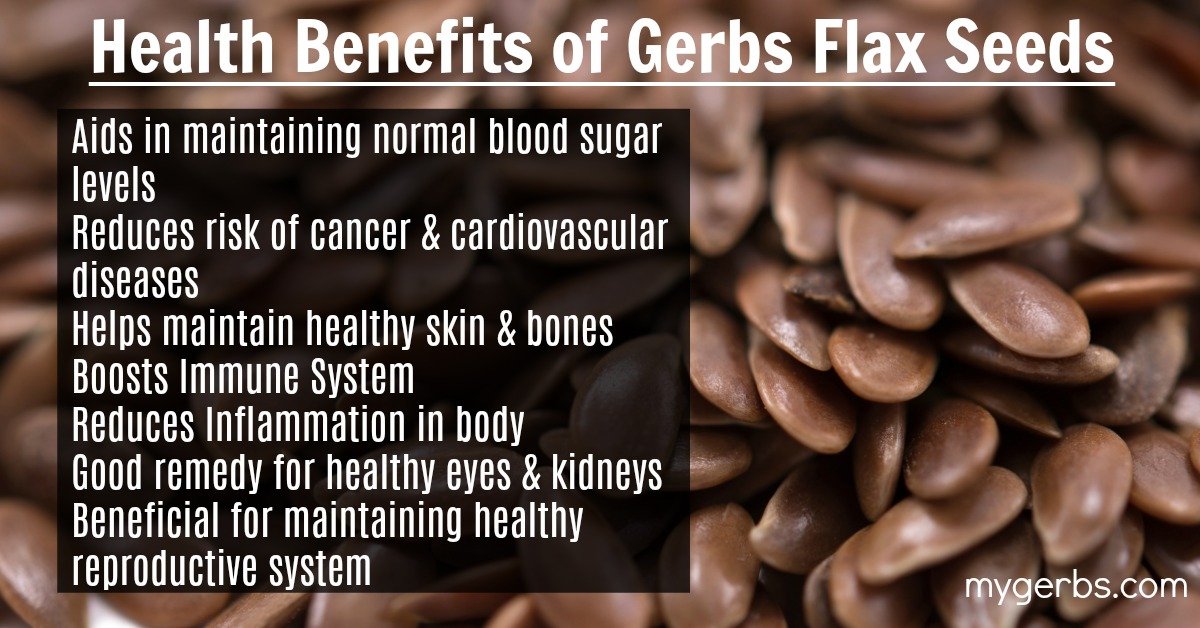 Raw Brown Flax Seeds, 2 LBS by Gerbs Top 12 Food Allergy Free & NON