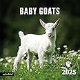 2025 Wall Calendar,Calendar 2025, January 2025 - December 2025, Wall Calendar Baby Goats, 12" x 24" Opened,Full Page Months Thick & Sturdy Paper for Calendar Organizing & Planning